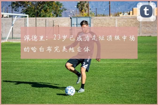 佩德里：23岁已成为足坛顶级中场的哈白布完美结合体